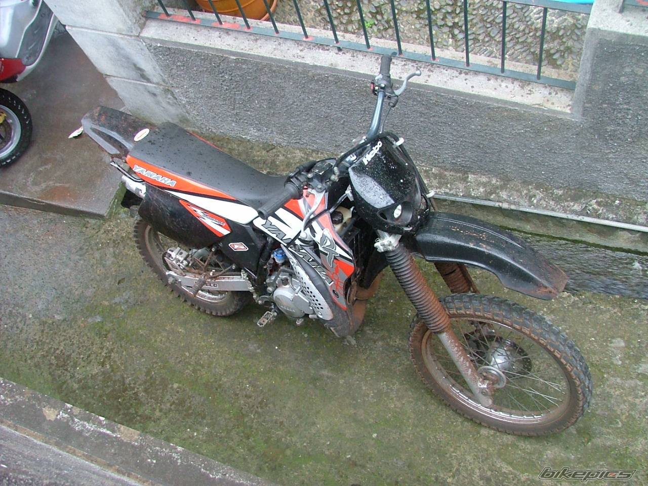 Photo 348603
