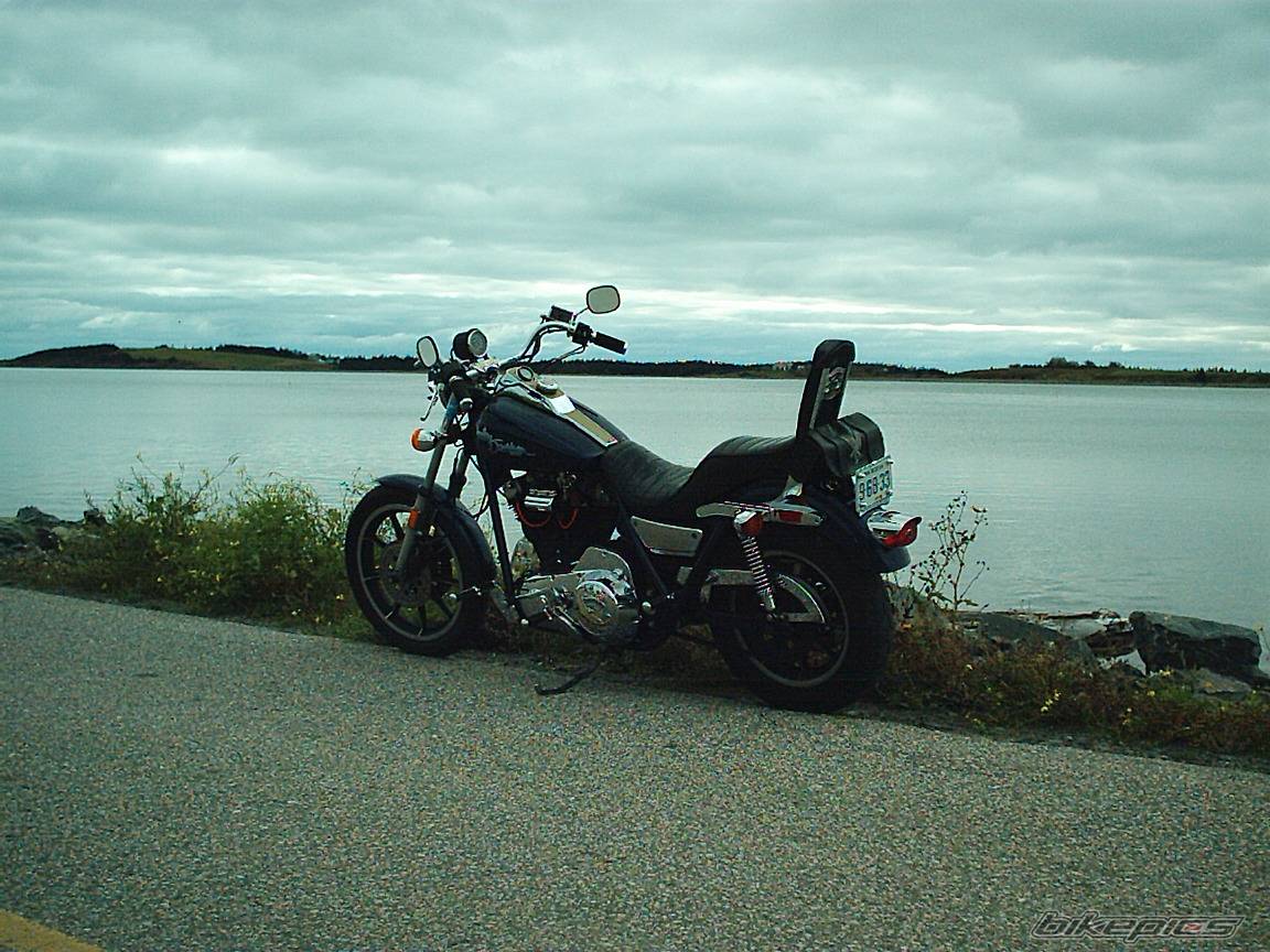 Photo 348682