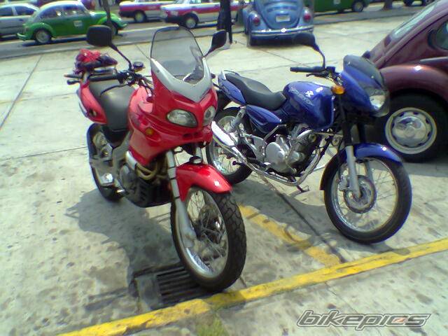 Photo 348743
