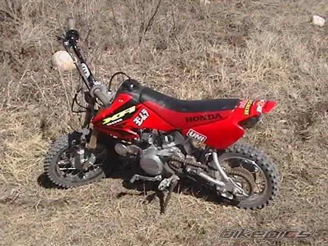 Photo 348757