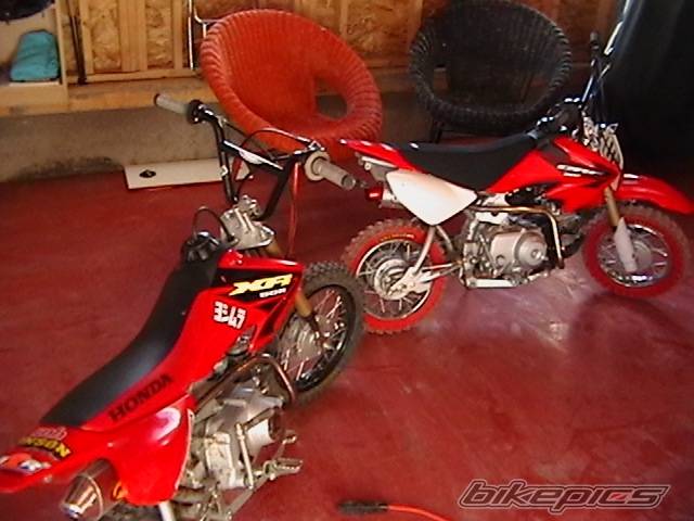 Photo 348758