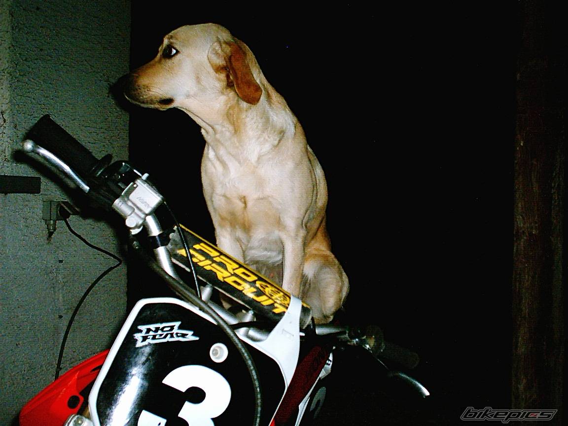 Bike Photo 348864