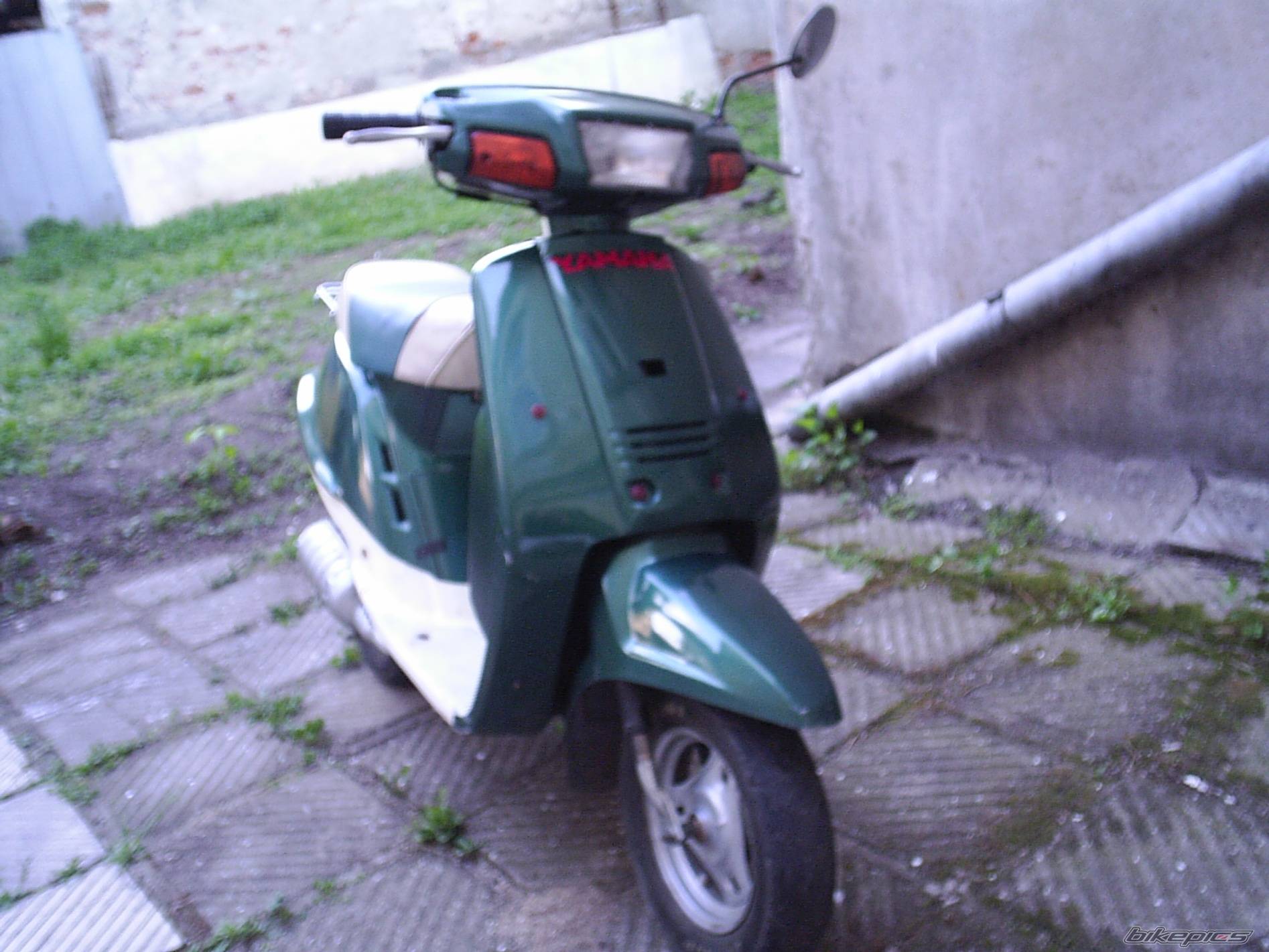 Photo 348871