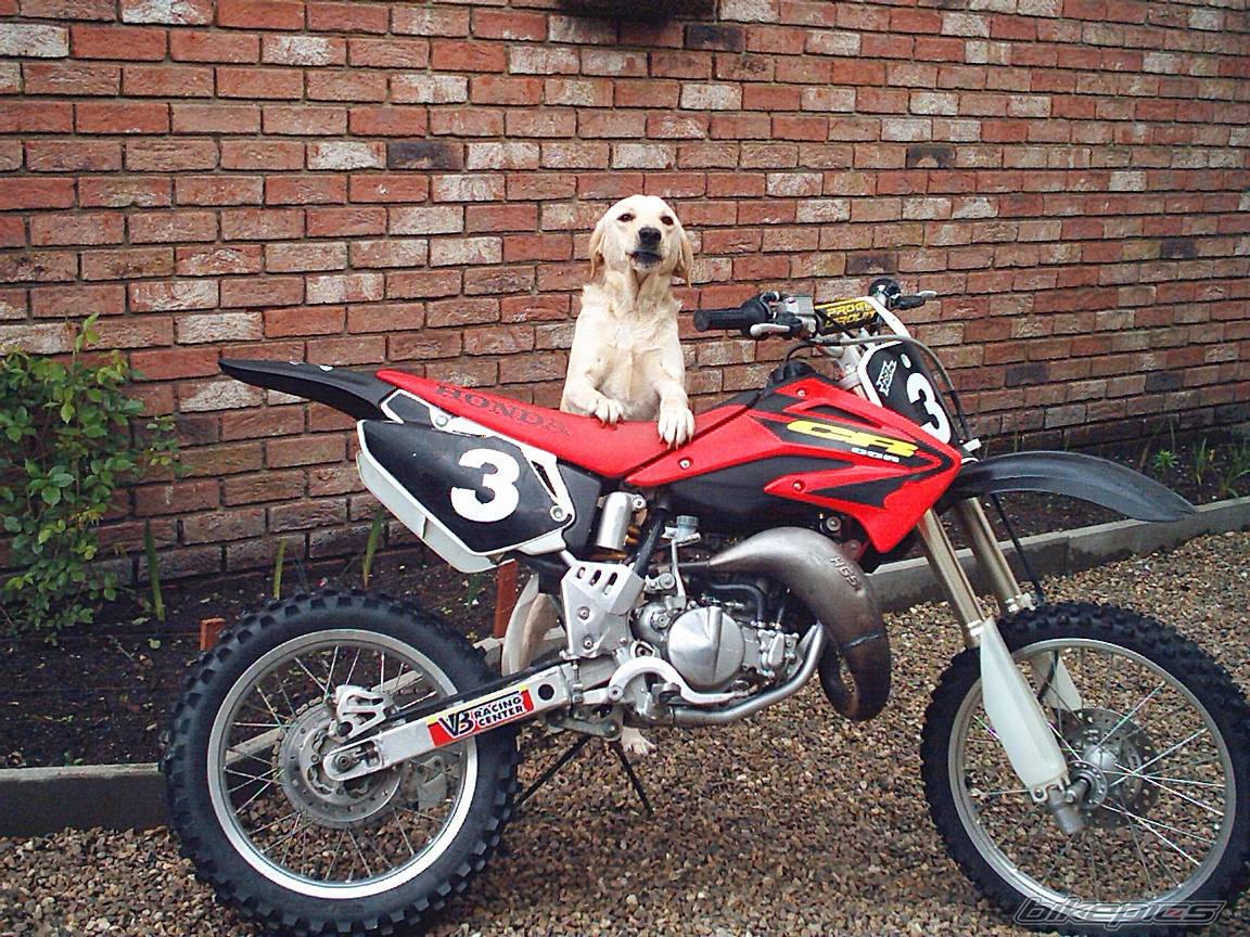 Bike Photo 348876