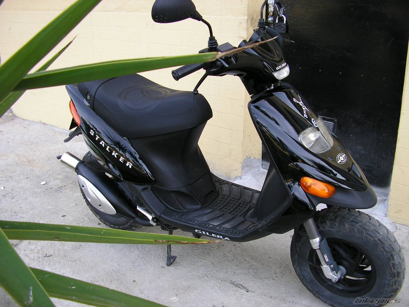 Bike Photo 348992