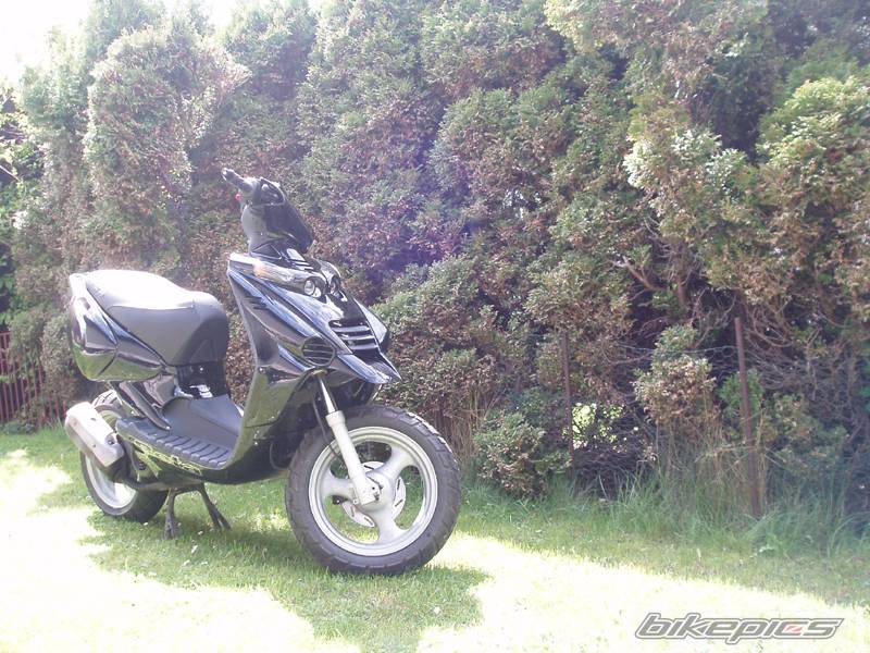 Bike Photo 349215