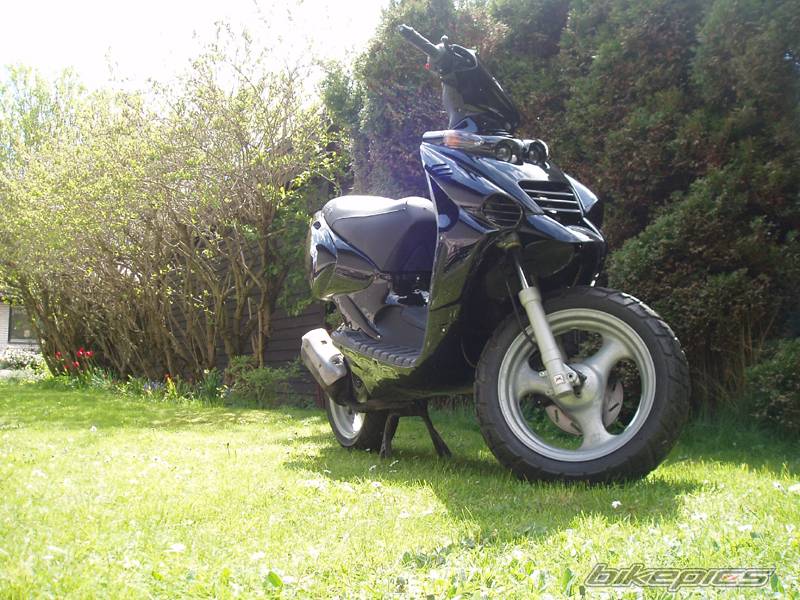 Photo 349222