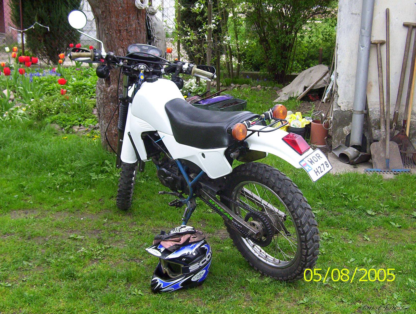 Photo 349253
