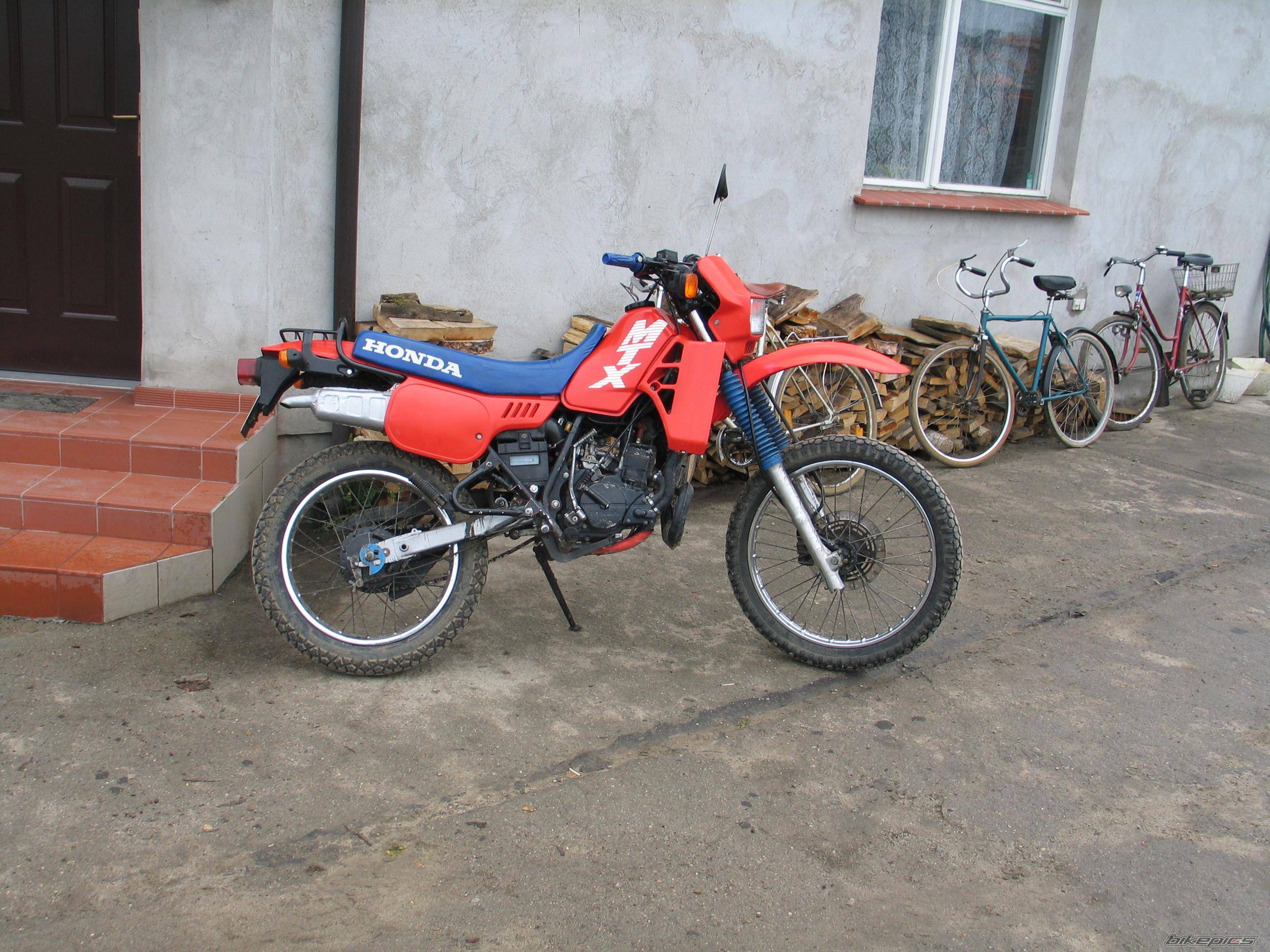 Photo 349296