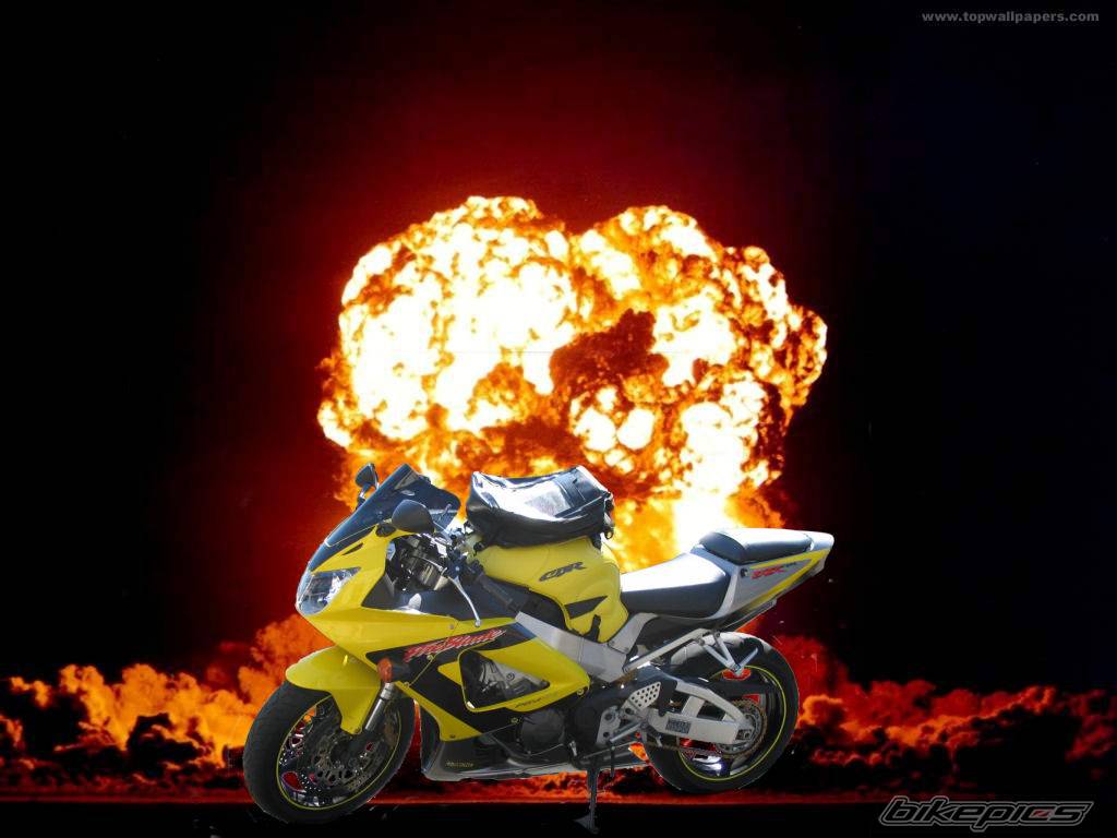Bike Photo 349504