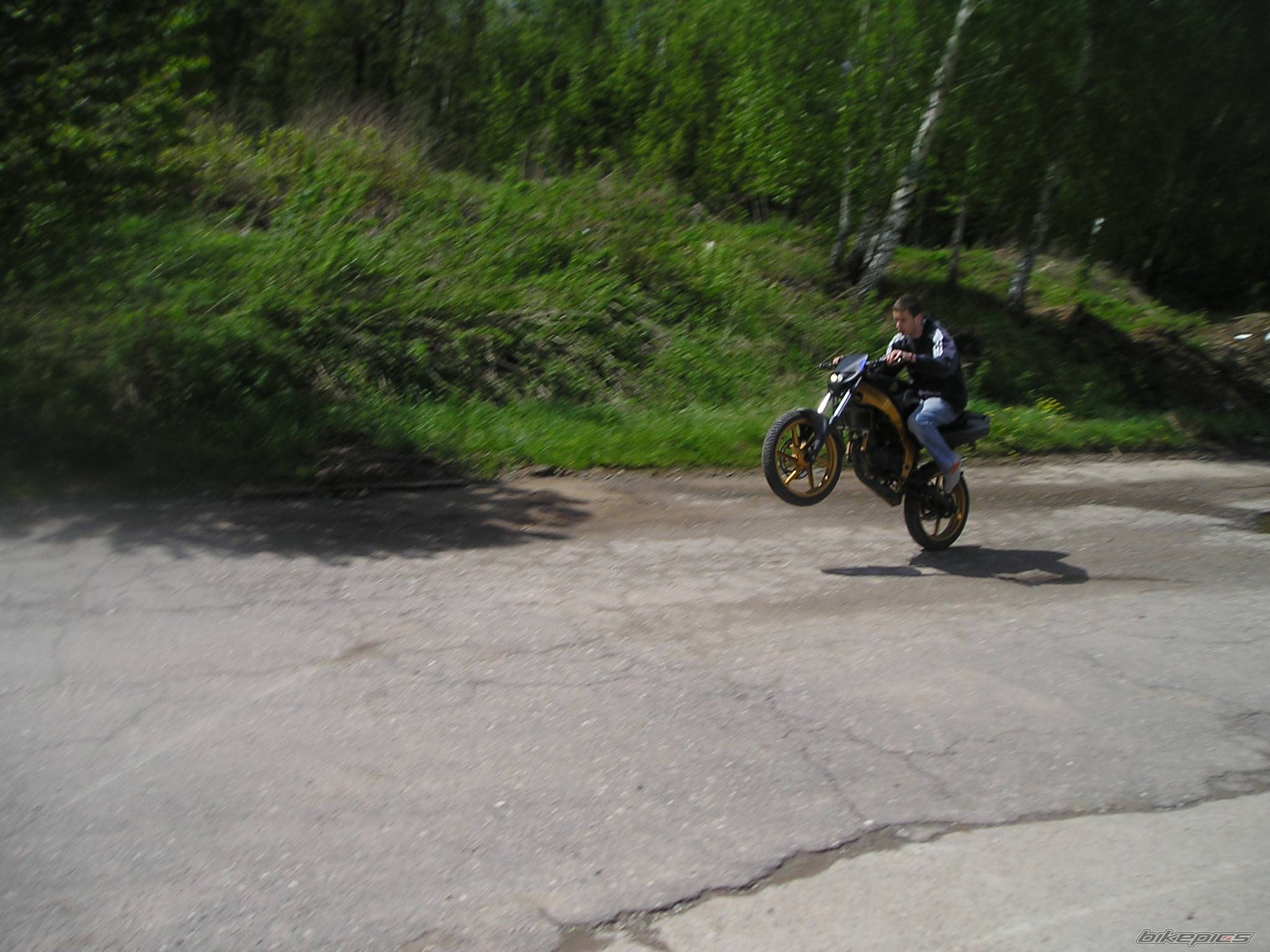 Photo 349651