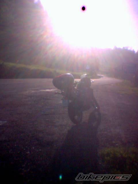 Photo 349912