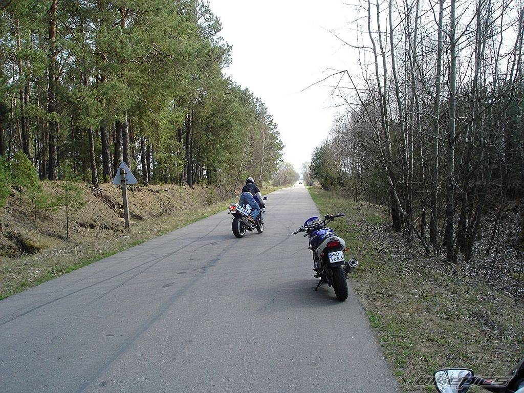 Photo 349966