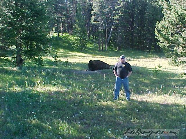 Photo 35005