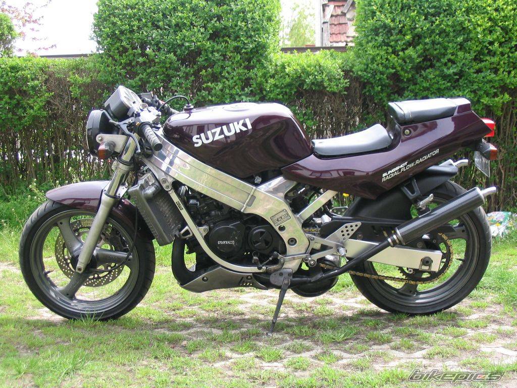 TV 250 Wolf