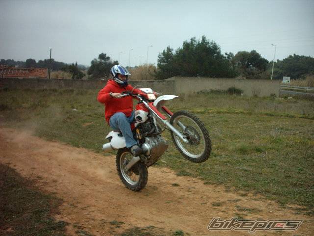 Bike Photo 350231