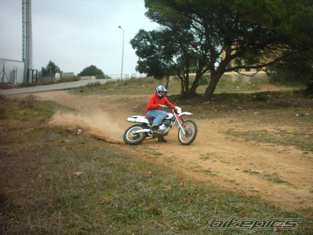 Bike Photo 350238