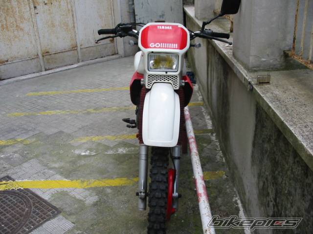Bike Photo 350278