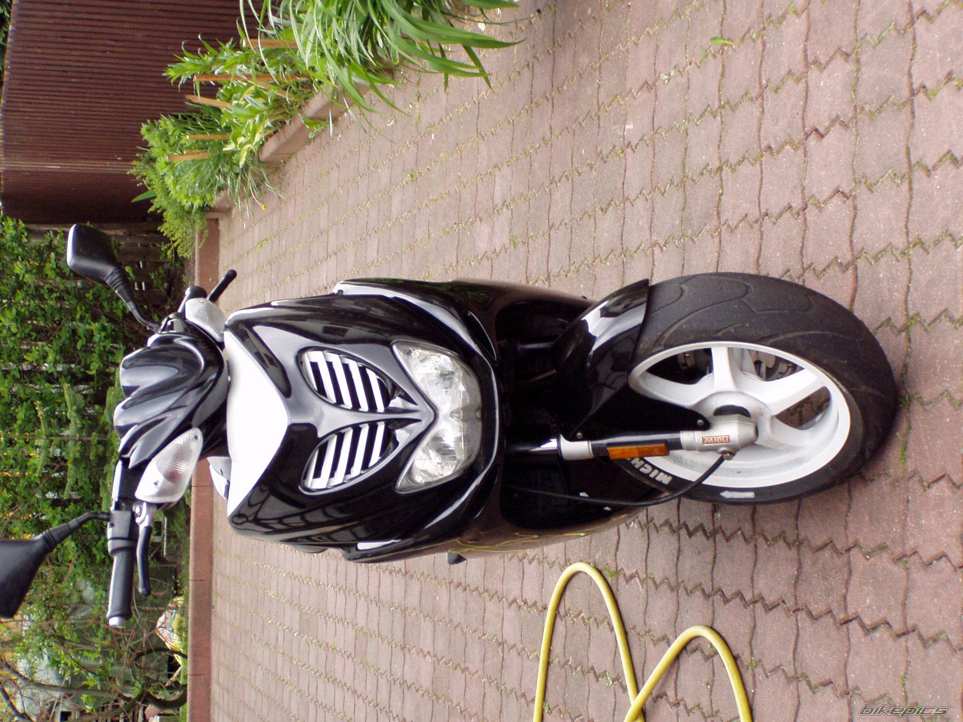 Photo 350879