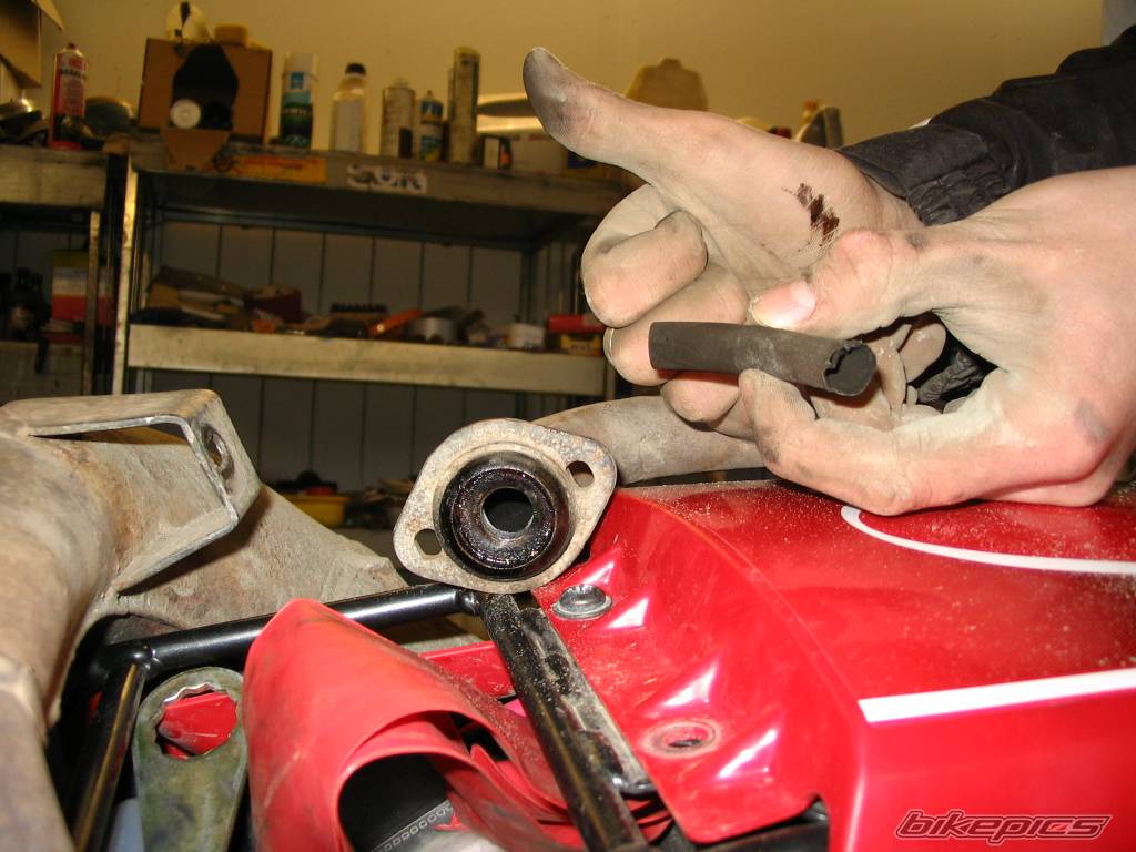 Photo 350910