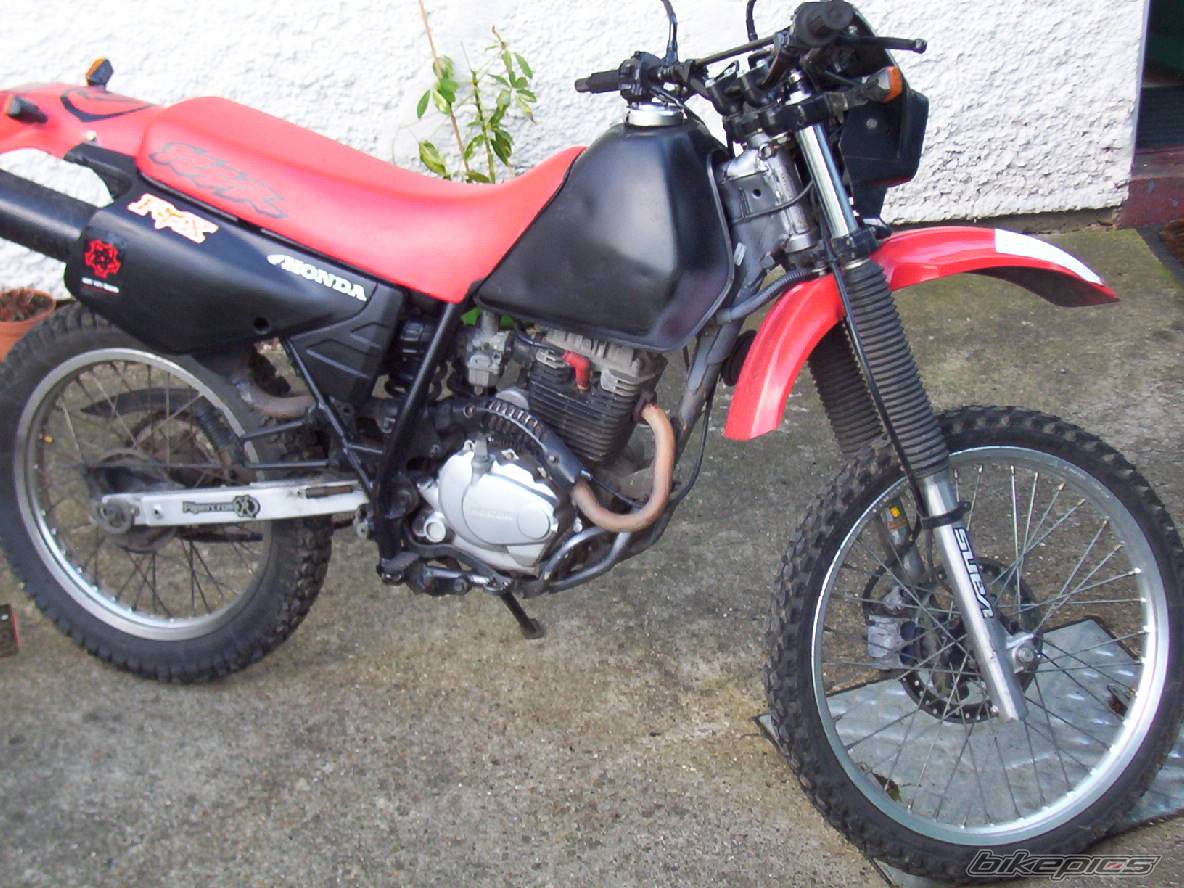 Bike Photo 351021