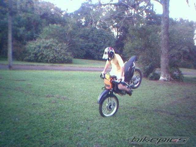 Bike Photo 351227
