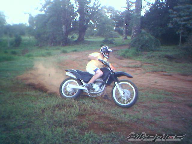 Bike Photo 351229