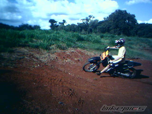 Photo 351231