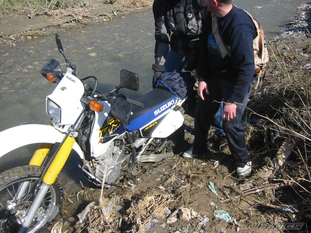 Bike Photo 351291