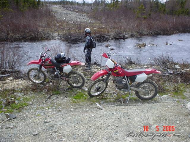 Photo 351323