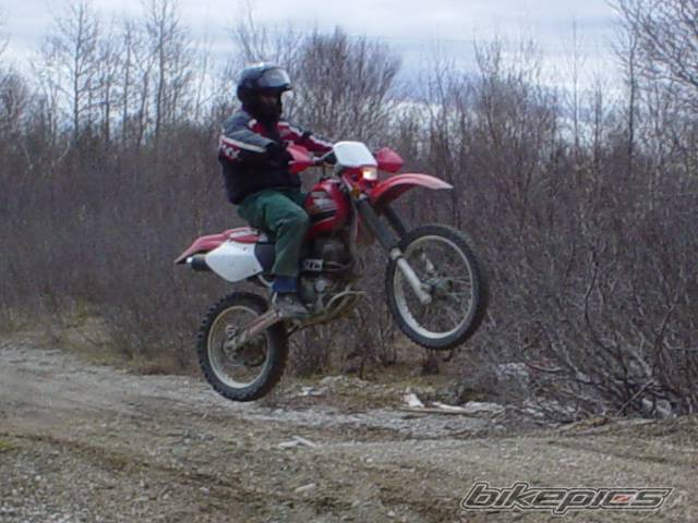 Photo 351325