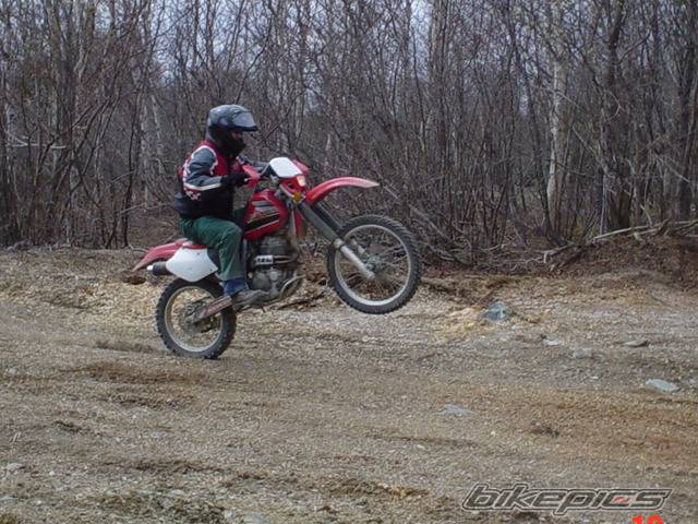 Photo 351326