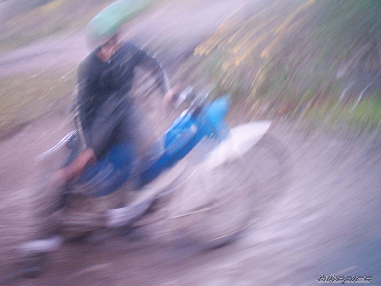 Photo 351539