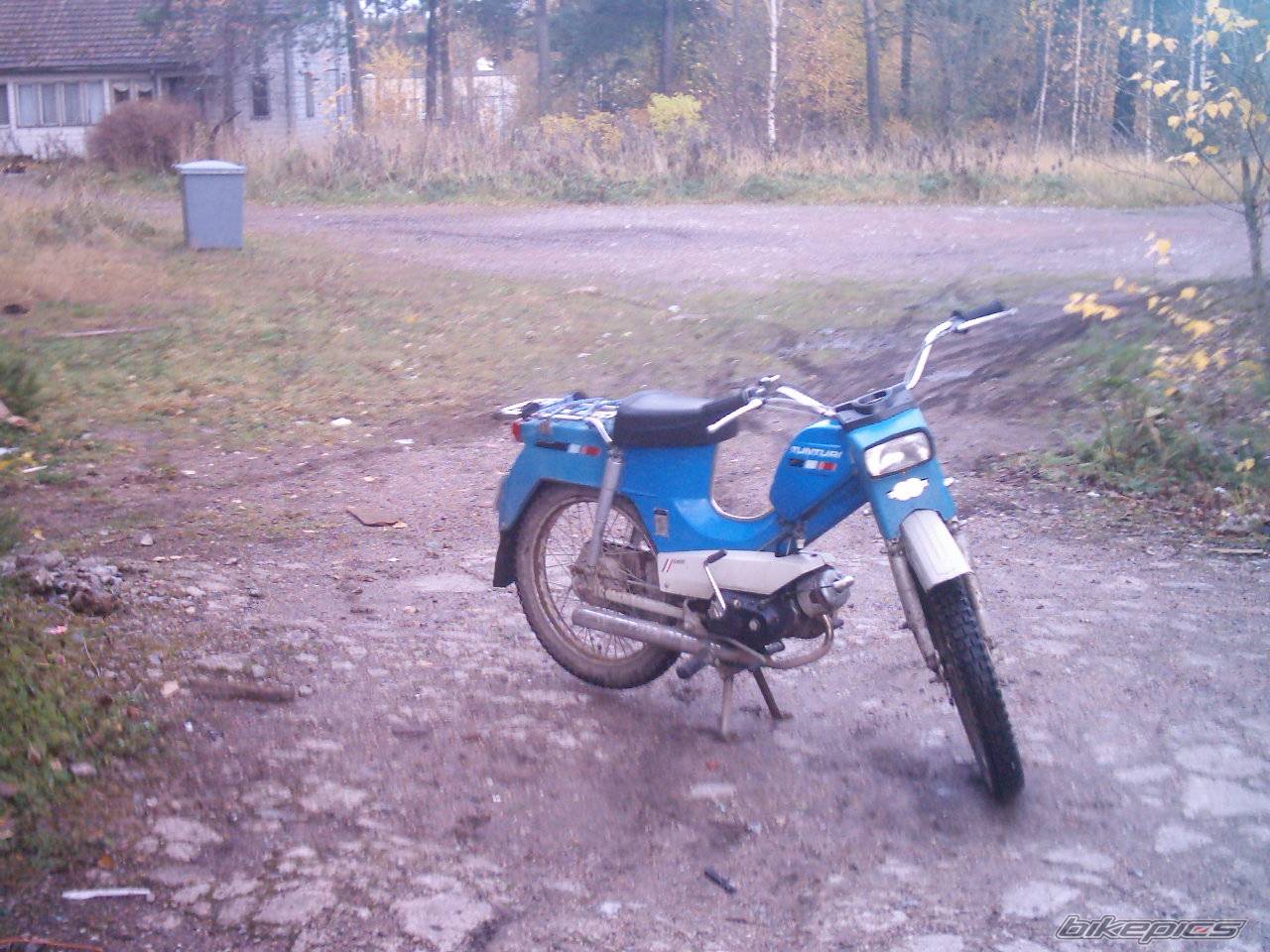 Photo 351541