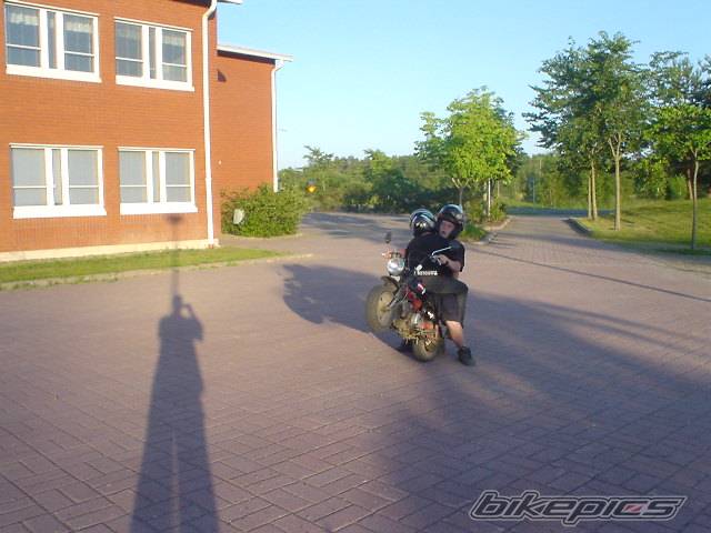 Photo 351548