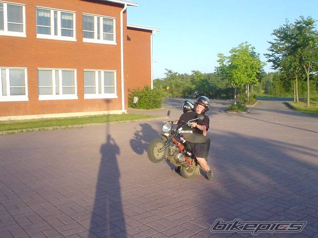 Photo 351550