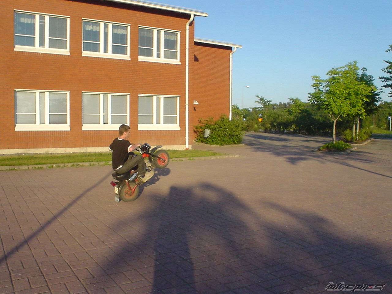 Photo 351552