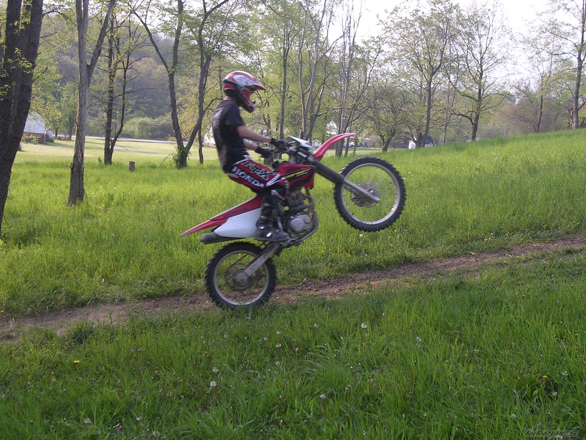 Photo 351594