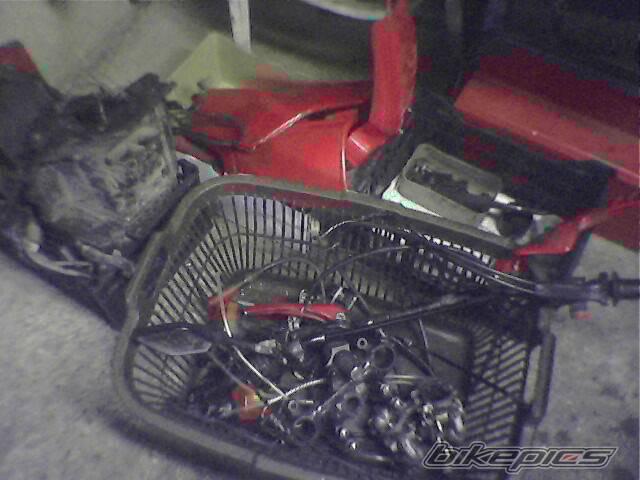 Photo 351642