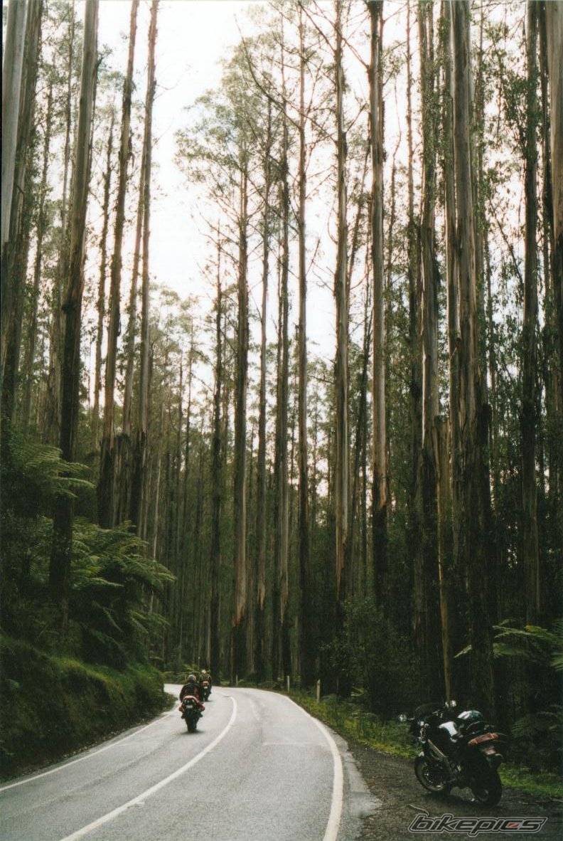Bike Photo 35169