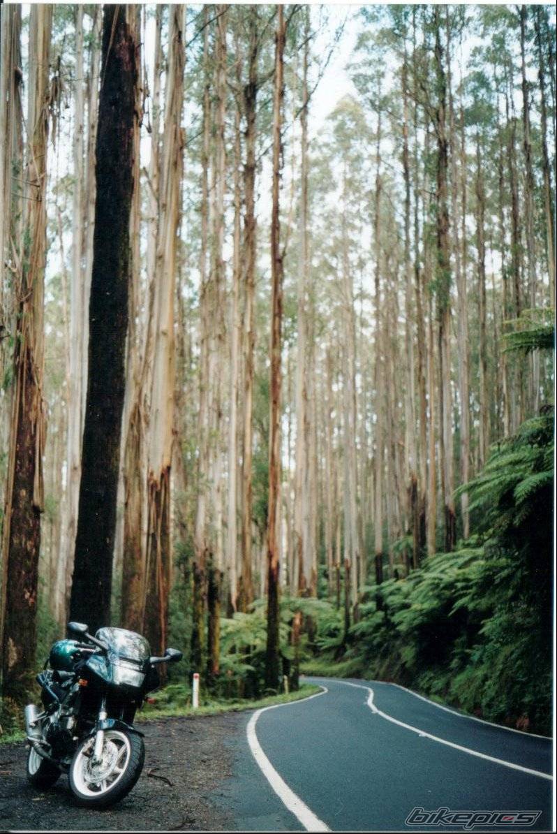Bike Photo 35171
