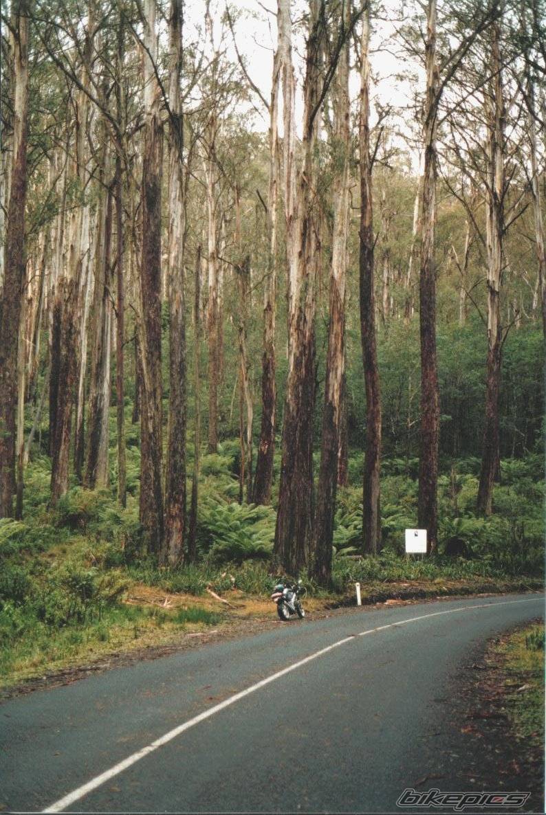 Bike Photo 35172