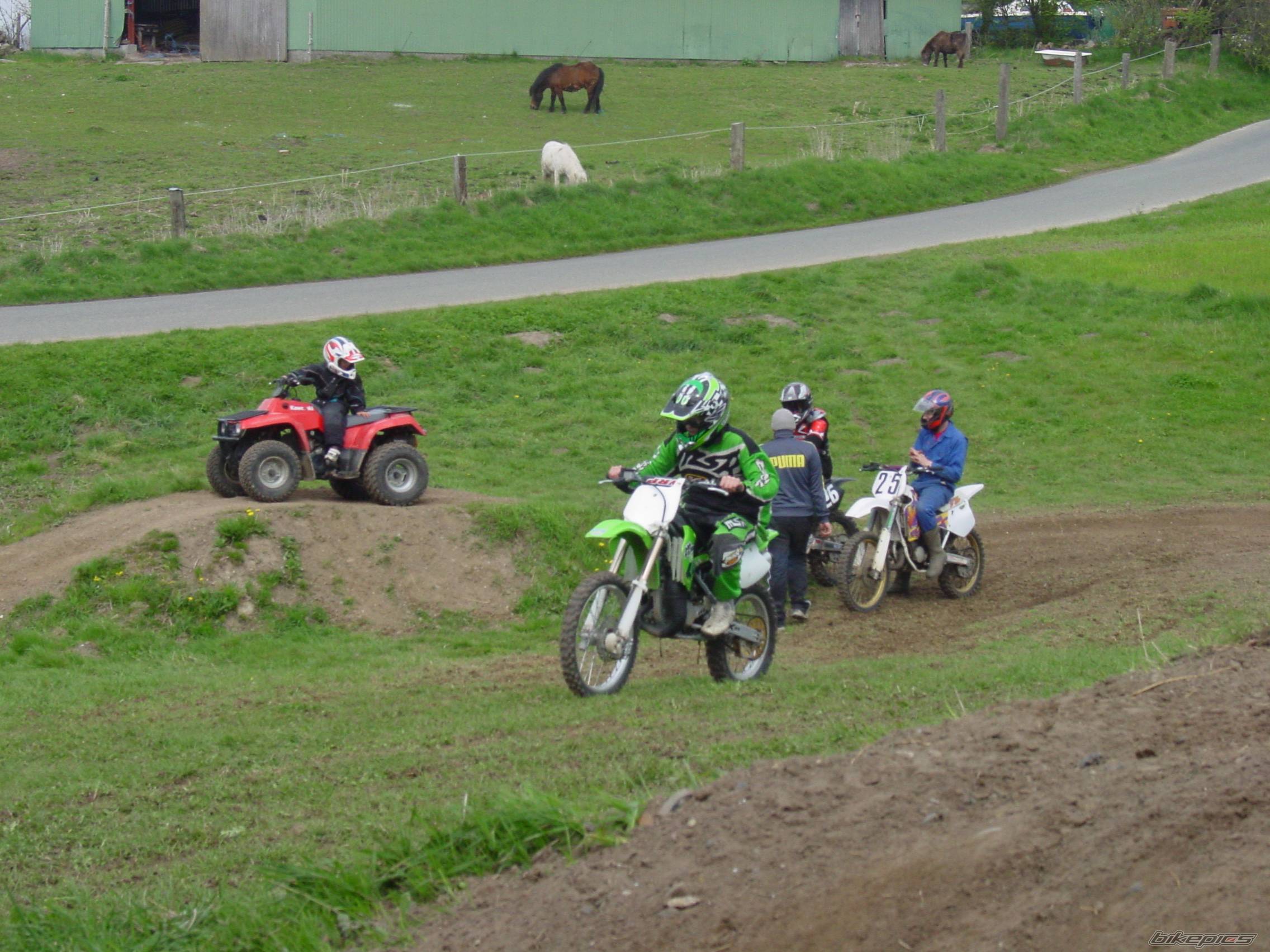 Photo 351739