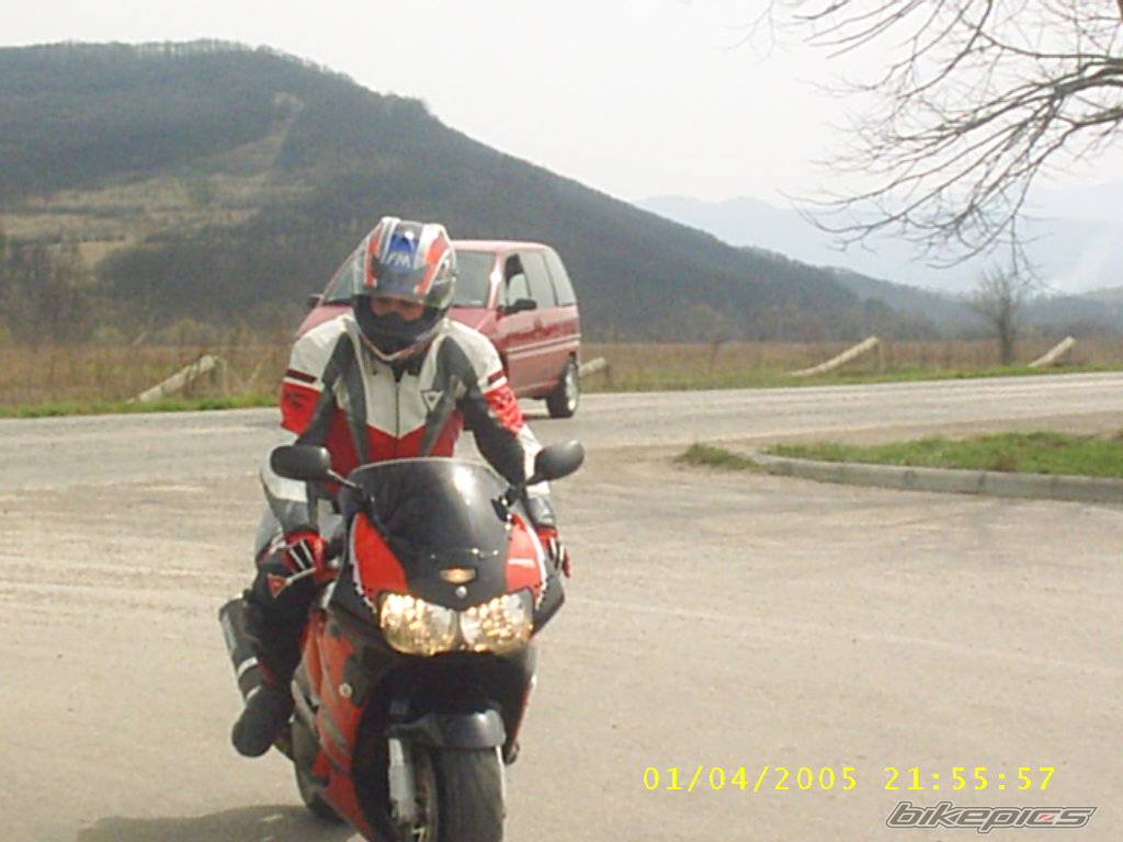 Photo 351879