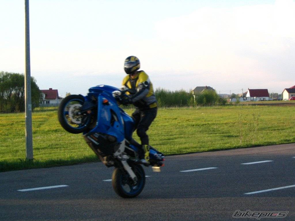 Photo 351912