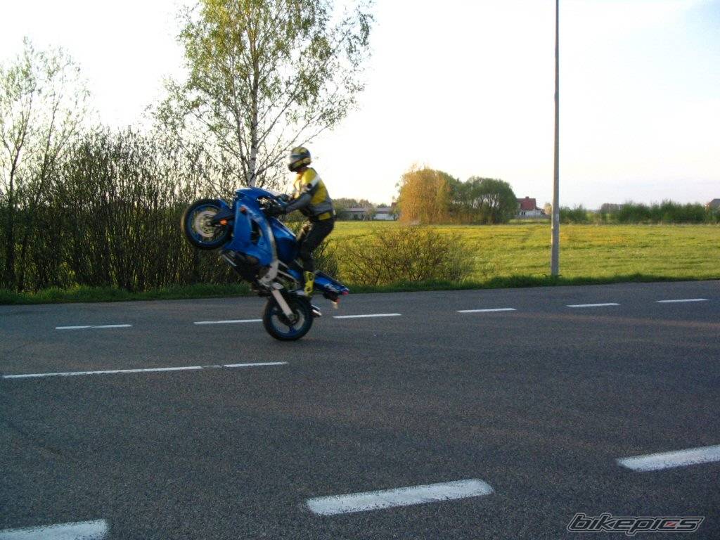 Photo 351920