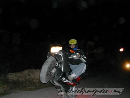 Photo 351949