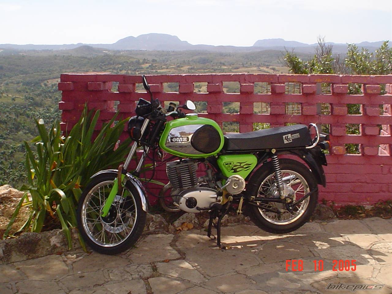 Photo 351960