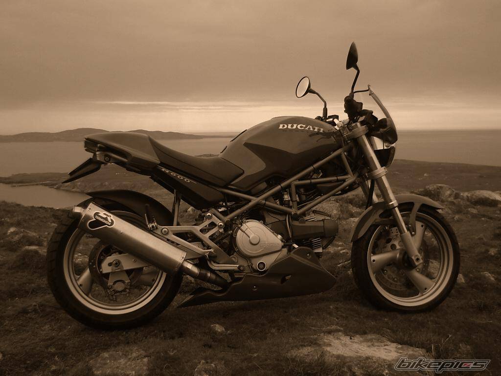 Photo 351979