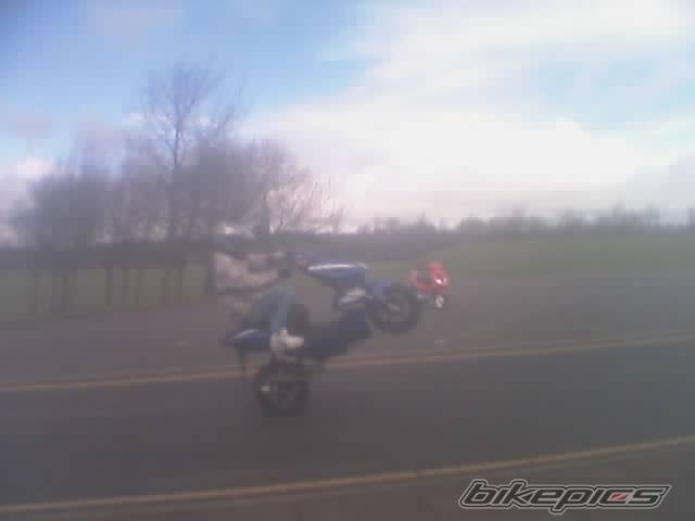 Bike Photo 352017